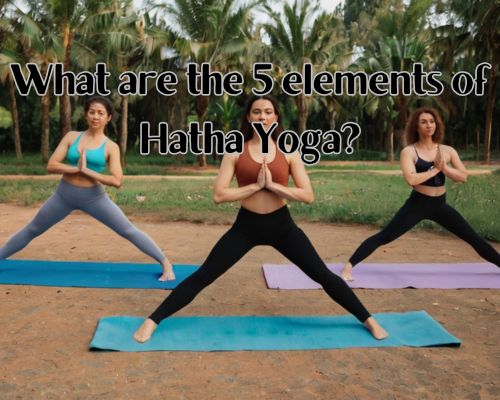 women doing yoga outdoor